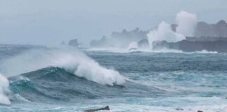 Inameh informa sobre aumento del oleaje por Vientos Alisios durante esta semana