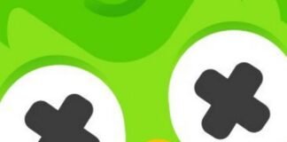 Duolingo anuncia la muerte de su búho verde y desata revuelo en redes: ¿Qué pasó?