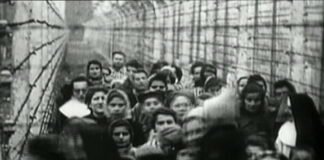 Opinión | Shoá – por Rodrigo Ojeda Sánchez