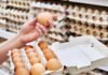 Alquilar una gallina, una moda en auge en EEUU ante los cambios en el precio de los huevos