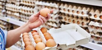 Alquilar una gallina, una moda en auge en EEUU ante los cambios en el precio de los huevos