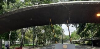 Decano de la UCV afirma que el presupuesto universitario es insuficiente