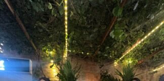 Miss Venezuela 2022 Diana Silva y José Padrón Animador número 1 de Venezuela presentan junto a Vetrux su exclusiva línea de vineras en la ciudad que la vio nacer: Maracay