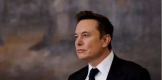 Elon Musk sobre el dinero de FEMA