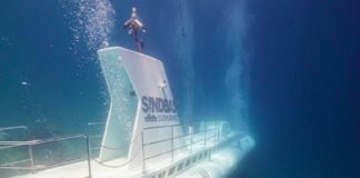 Se hundió un submarino turístico con 45 personas a bordo en el mar Rojo: Al menos seis muertos