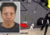 Ahoga a su perro en el baño de un aeropuerto tras no permitírsele abordar