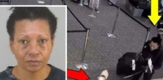 Ahoga a su perro en el baño de un aeropuerto tras no permitírsele abordar