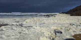 Una misteriosa espuma enferma a más de 100 surfistas