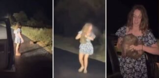 Influencer desata indignación en Australia tras separar a una cría de wómbat de su madre para un video