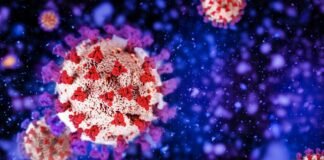 ¿COVID: virus sintético? Nuevas pruebas apuntan qué si