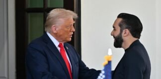 Bukele y Trump se reúnen en la Casa Blanca por crisis migratoria y seguridad fronteriza