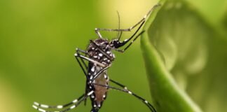 34 fallecidos: Declaran emergencia sanitaria en Colombia por brote de fiebre amarilla