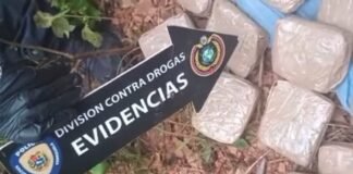Hallan más de 30 panelas de presunta marihuana en Miranda