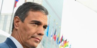 ¿Golpe al campo español? Sánchez sacrifica el olivar para imponer su agenda ideológica verde