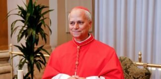 El Cardenal Robert Prevost fue elegido como el Papa León XIV