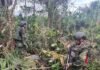 Masacre en Ecuador deja 11 militares muertos y se les atribuye el ataque a disidentes de las FARC