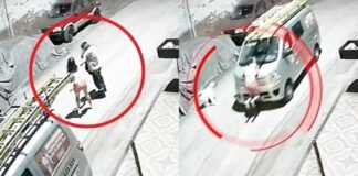 Una venezolana murió atropellada en Perú tras denunciar a técnicos por abuso