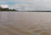 Aumento en el nivel del río Orinoco afecta la pesca en Delta Amacuro