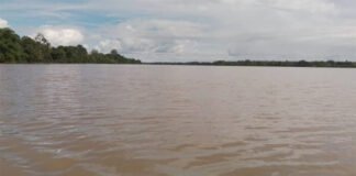 Aumento en el nivel del río Orinoco afecta la pesca en Delta Amacuro