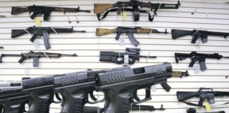 Opinión | El libre porte de armas: un inocente armado defendiendos – Por Aldo de Vivo