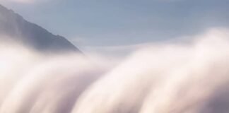 Disminuye el turismo en Japón por manga que predice un tsunami