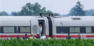 Inmigrante sirio hiere a varios pasajeros con un hacha en un tren