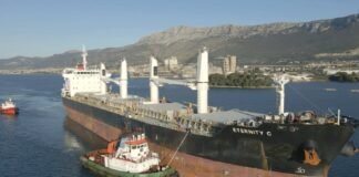 “¡Capitán, deténgase inmediatamente!”: Terroristas Hutíes atacan y hunden buque occidental en el Mar Rojo