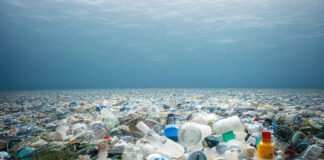 La OMS pide un tratado «fuerte» contra la polución por plásticos y su impacto sanitario