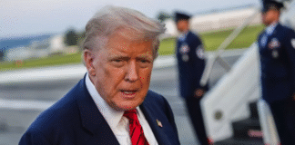 NYT: Trump autoriza uso de fuerzas militares contra carteles latinoamericanos designados como terroristas