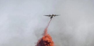 Incendio forestal en Francia arrasó con 15 mil hectáreas y dejó una persona fallecida