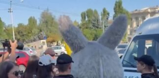 Pikachu, Labubu y un oso fueron detenidos por protestas en Moldavia