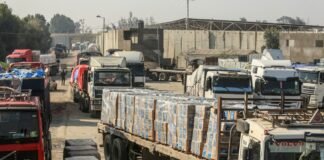 Evidencian abundancia de alimentos para Gaza. ONU no la distribuye mientras culpan a Israel