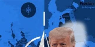 Trump a países OTAN: ¿quieren que la guerra termine? Dejen de comprar petróleo ruso