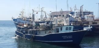 Barcos pesqueros tendrán cámaras durante sus faenas en el Caribe venezolano
