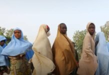 Nuevo ataque contra comunidades cristianas en Nigeria: decenas de alumnas secuestradas en una escuela católica