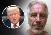 Senado de EEUU aprueba por unanimidad el proyecto de ley para publicar los archivos de Epstein