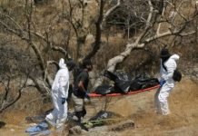 A meses del Mundial 2026, Jalisco reporta 456 bolsas con restos humanos cerca del Estadio Akron