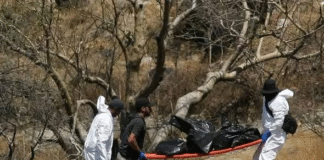 A meses del Mundial 2026, Jalisco reporta 456 bolsas con restos humanos cerca del Estadio Akron