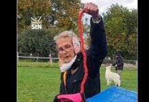 Parece chiste, pero es real: En Alemania se populariza el «hobby dogging» que consiste en pasear perros imaginarios