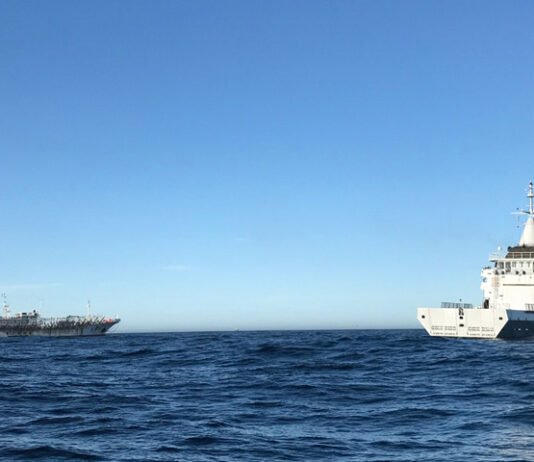 Saqueo y depredación pesquera China con 380 barcos es expuesta por la Armada Argentina