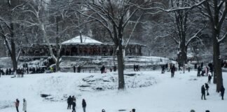 Miles de vuelos cancelados en todo EEUU por tormentas invernales en temporada Navideña