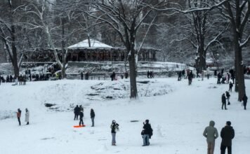Miles de vuelos cancelados en todo EEUU por tormentas invernales en temporada Navideña