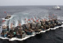 Invasión desde el mar: barcos chinos arrasan aguas peruanas ante la pasividad del Estado