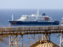¿Otra vez el mundo al borde del encierro?: Francia y Suiza activan alarmas por posible expansión del hantavirus fuera del crucero MV Hondius
