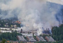 Voraz incendio destruye más de 100 viviendas cerca de Oslo: cientos de personas fueron evacuadas Incendio Noruega