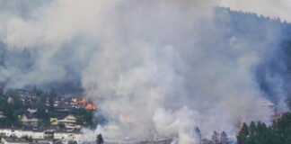 Voraz incendio destruye más de 100 viviendas cerca de Oslo: cientos de personas fueron evacuadas Incendio Noruega