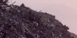 La nueva tragedia: escombros del terremoto son lanzados al mar en La Guaira