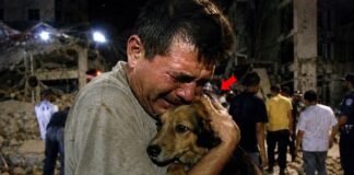 Un mes después del terremoto Venezuela: la culpa del sobreviviente afecta a miles de venezolanos
