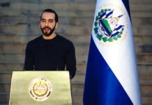 Bukele ofrece ayuda de El Salvador a Colombia tras el fuerte terremoto