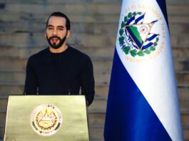 Bukele ofrece ayuda de El Salvador a Colombia tras el fuerte terremoto